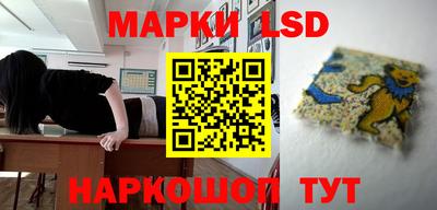 прущие крисы Ипатово