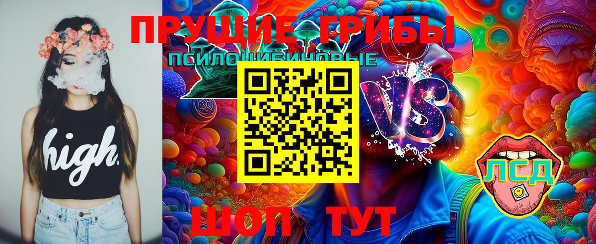 Галлюциногенные грибы Psilocybe Майский